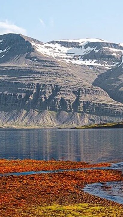 OP = OP! Straffe Lastminute Cruise IJsland vanuit Amsterdam vanaf € 1.699 p.p.